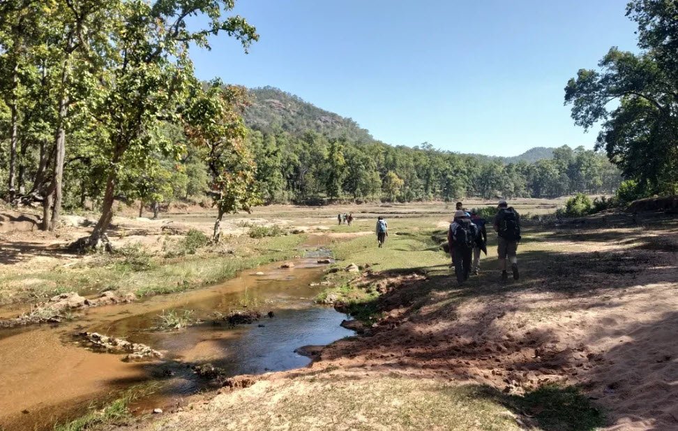 Guru Ghasidas National Park (Sanjay)
